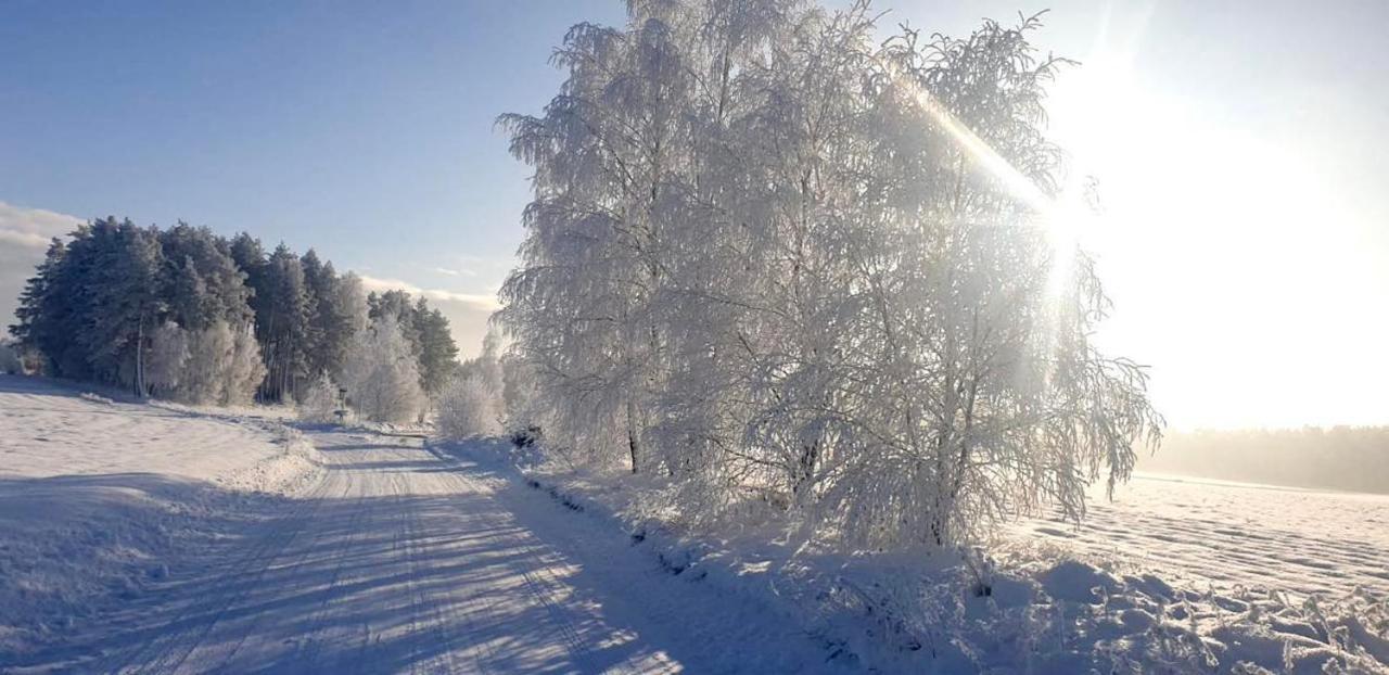 Ostoja Bukowo 12,2 Chata U Szoltesa Borowy Mlyn Esterno foto