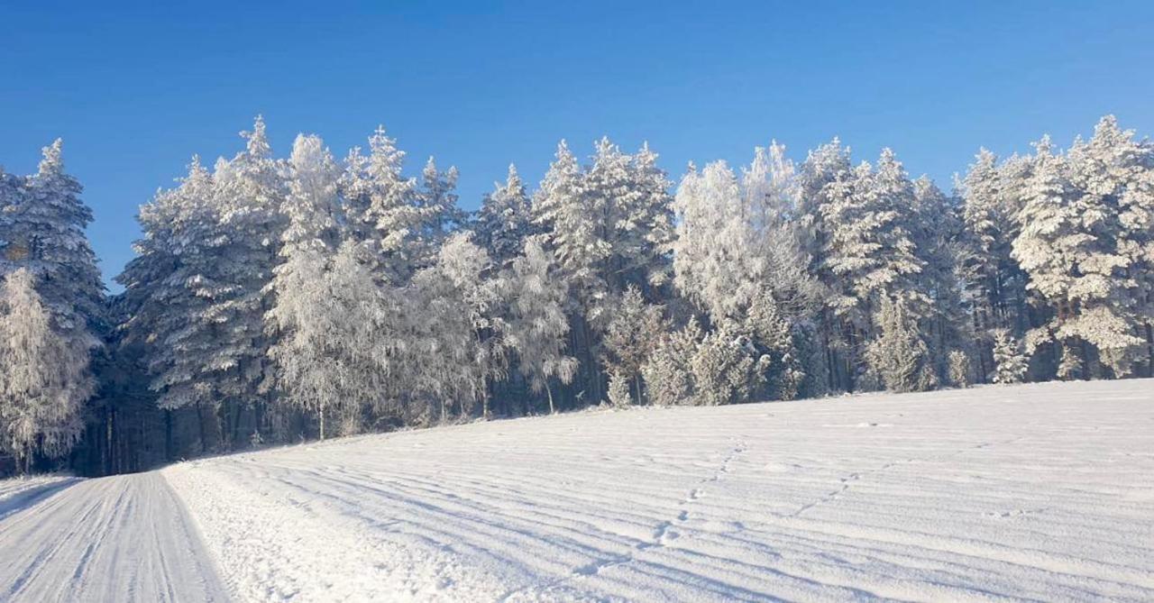 Ostoja Bukowo 12,2 Chata U Szoltesa Borowy Mlyn Esterno foto